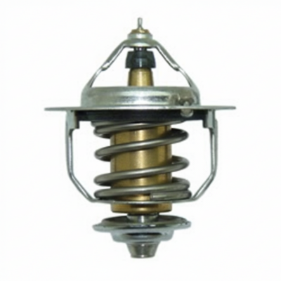 Conjunto do termostato para a máquina Hyundai